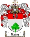 Thumbnail Rainy Family Crest  Rainy Coat of Arms