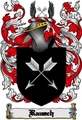 Thumbnail Rausch Family Crest Rausch Coat of Arms Digital Download Thumbnail Rausch Family Crest Rausch Coat of Arms Digital Download