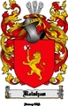 Thumbnail Reishus Family Crest  Reishus Coat of Arms Digital Download