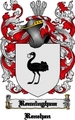 Thumbnail Renningham Family Crest  Renningham Coat of Arms Digital Download