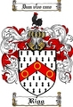 Thumbnail Rigg Family Crest  Rigg Coat of Arms