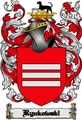 Thumbnail Rynkowski Family Crest Rynkowski Coat of Arms Digital Download Thumbnail Rynkowski Family Crest Rynkowski Coat of Arms Digital Download