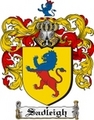 Thumbnail Sadleigh Family Crest  Sadleigh Coat of Arms
