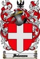 Thumbnail Salemme Family Crest  Salemme Coat of Arms Digital Download
