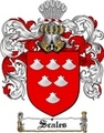 Thumbnail Scales Family Crest  Scales Coat of Arms