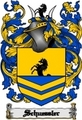 Thumbnail Schuessler Family Crest Schuessler Coat of Arms Digital Download Thumbnail Schuessler Family Crest Schuessler Coat of Arms Digital Download