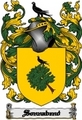 Thumbnail Sonnabend Family Crest  Sonnabend Coat of Arms Digital Download