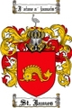 Thumbnail St. James Family Crest St. James Coat of Arms Digital Download