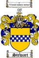 Thumbnail Stewart Family Crest / Stewart Coat of Arms