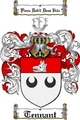 Thumbnail Tennant Family Crest / Tennant Coat of Arms