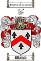 Thumbnail Walsh Family Crest / Walsh Coat of Arms