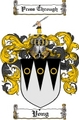 Thumbnail Yong Family Crest  Yong Coat of Arms