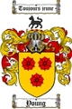 Thumbnail Young Family Crest / Young Coat of Arms