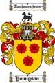 Thumbnail Youngson Family Crest  Youngson Coat of Arms