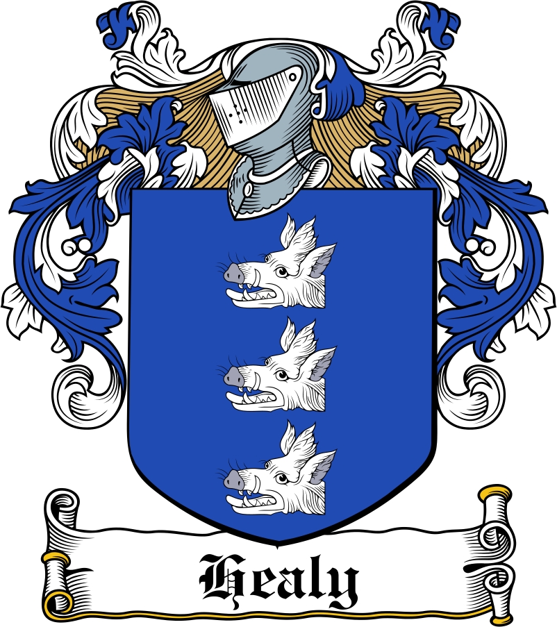 Healy Family Crest / Irish Coat of Arms Image Download Download F...