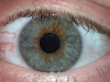 Thumbnail human eye
