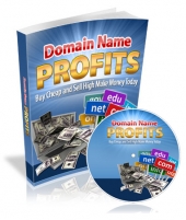 Thumbnail Domain Name Profits