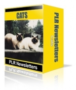 Thumbnail Cats Niche Newsletters