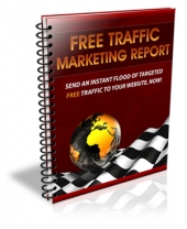 Thumbnail Free Traffic Marketing Report - With Private Label Rights