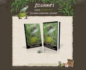 Thumbnail Iguana Survival - Minisite