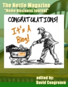 Thumbnail The Nettle Magazine : Issue #40 - With Giveaway Rights