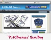 Thumbnail PLR Business WordPress Niche Blog - With Personal Use Rights