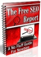 Thumbnail The Free SEO Report - With Master Resale Rights