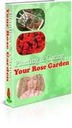 Thumbnail Planning & Caring Your Rose Garden - With Master Resale Rights
