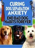 Thumbnail Curing Dog Separation Anxiety
