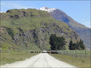 Thumbnail The New Zealand Relocation, Immigration and Retirement Guide