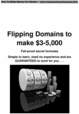 Thumbnail Flipping Domains to make $3-5,000