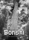 Thumbnail The Ancient Art of Bonsai