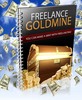 Thumbnail Freelance Goldmine Online Report - with PLR Rights