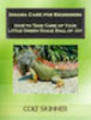 Thumbnail Iguana Care for Beginners