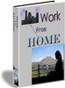 Thumbnail *new* Work From Home Report with PLR