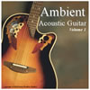 Thumbnail Acoustic Guitar Loops 2