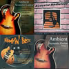 Thumbnail Acoustic Guitar Loops Pack #1