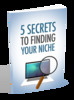 Thumbnail 5 Secrets To Finding Your Niche