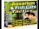 Thumbnail Aquarium FishCareTactics PLR