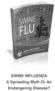 Thumbnail Swine Flu