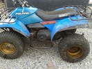 Thumbnail Polaris Trail Boss 250 1990-1992 Shop Manual Download 1991