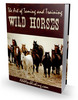 Thumbnail How to Taming and Training Wild Horses with PLR