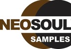 Thumbnail Neo Soul Samples R&B Sounds RnB Nu Acid Jazz Hip Hop Downtem