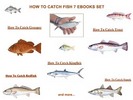 Thumbnail 7 How To Catch Fish Ebooks