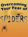 Thumbnail Overcoming Your Fear of Spiders