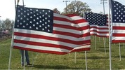 Thumbnail US Flag 3