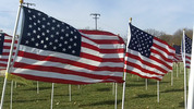 Thumbnail US Flag 4