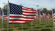 Thumbnail US Flag 8