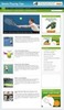 Thumbnail Tennis Playing Niche Wordpress Blog 