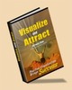Thumbnail Visualize and Attract